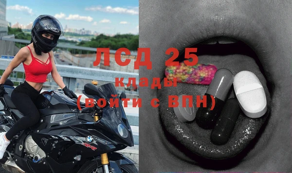 шишки Вяземский