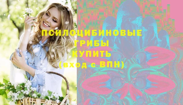 а пвп мука Горняк