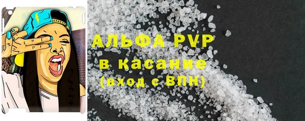 шишки Вяземский