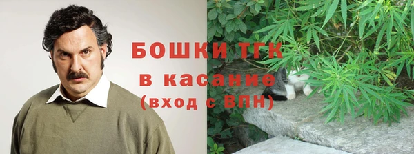 шишки Вяземский