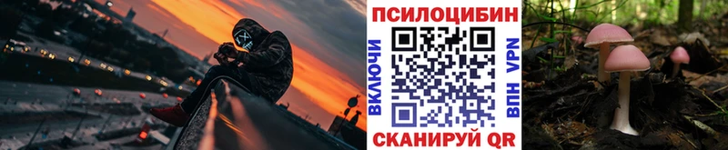 Купить где Луховицы Псилоцибиновые грибы Magic Shrooms
