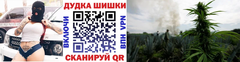 Марихуана White Widow Купить Луховицы